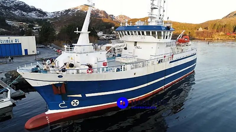 Langliner til salg