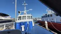 Patruljebåd til salg