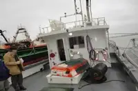 Lodsbåd til salg