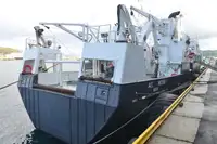 Containerskib til salg