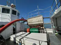 Dredge til salg