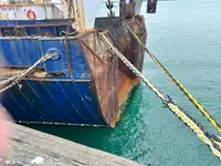 Trawler til salg