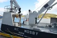 Containerskib til salg