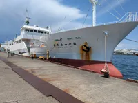 Langliner til salg