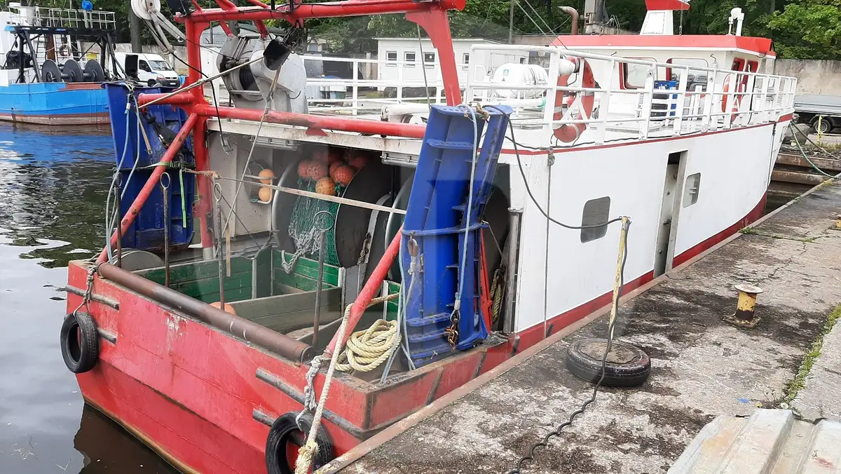 Levende fisketransportskib til salg