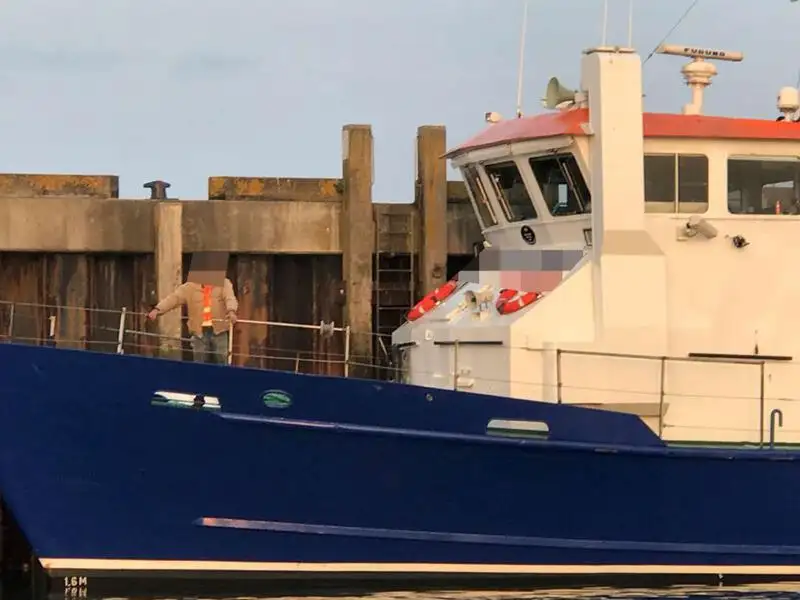 Arbejdsbåde til salg