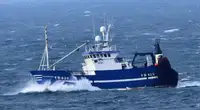 Trawler til salg