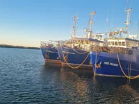 Trawler til salg