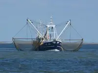 Trawler til salg