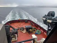 Bugserbåd til salg