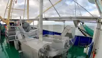 Beam-trawler til salg