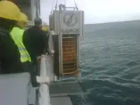Arbejdsbåde til salg