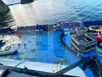 Bulkskib til salg