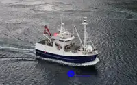 Pelsenet-trawlerfartøj til salg