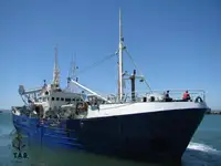Purse seiner til salg