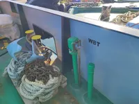 Containerskib til salg