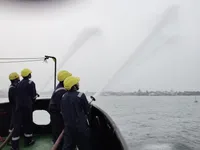 Slæbebåd til salg