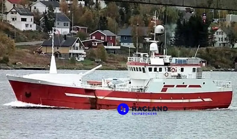 Langliner til salg