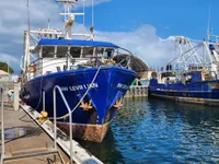 Trawler til salg