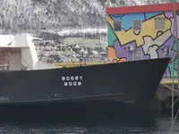 Ro-Ro-skib til salg