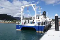 Krydstogtskib til salg