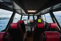 Patruljebåd til salg