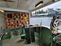 Langliner til salg