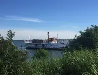 Restaurant fartøj til salg