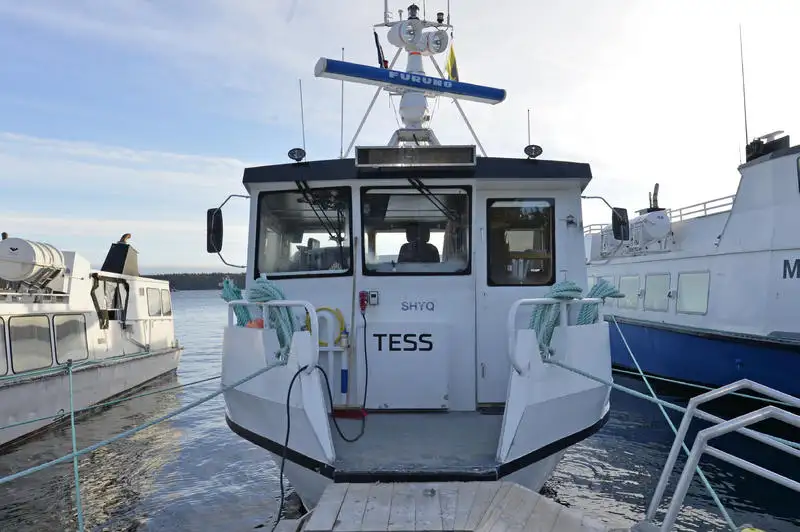 Krydstogtskib til salg