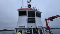 Bugserbåd til salg