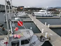 Redningsbåd til salg