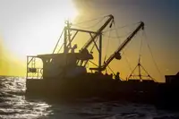 Arbejdsbåde til salg
