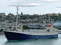 Langliner til salg