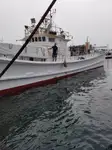 Langliner til salg