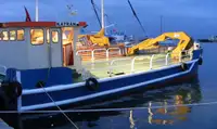 Trækbåd til salg