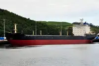 Bulkskib til salg
