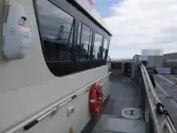 Katamaran til salg