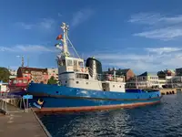 Trækbåd til salg