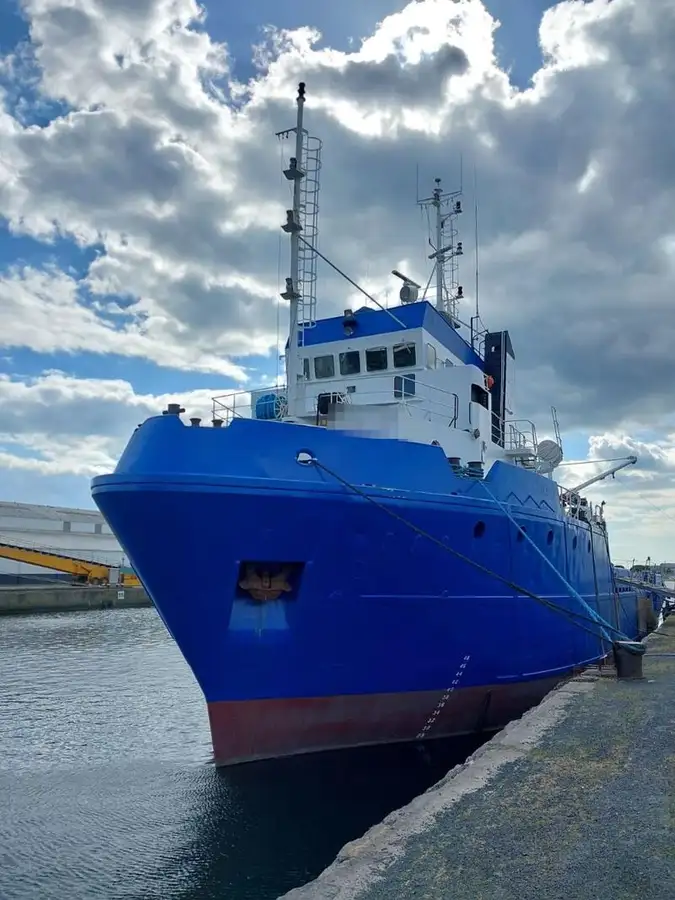 Containerskib til salg