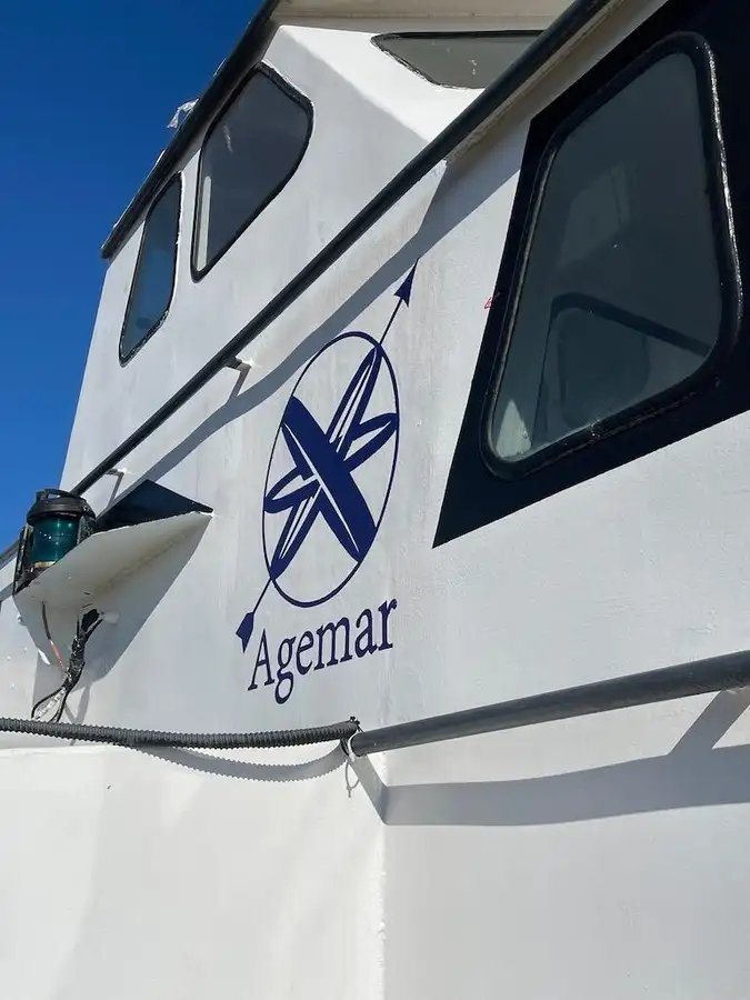 Containerskib til salg