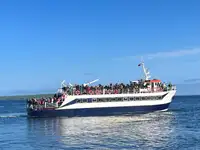 Passagerskib til salg