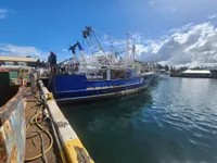 Trawler til salg