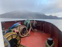 Bugserbåd til salg