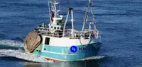 Beam trawler til salg