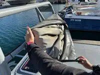 Patruljebåd til salg