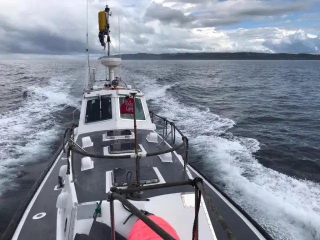 Lodsbåd til salg