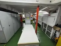 Containerskib til salg