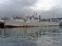 Langliner til salg