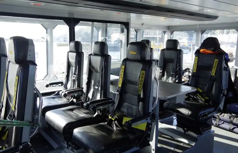 Containerskib til salg