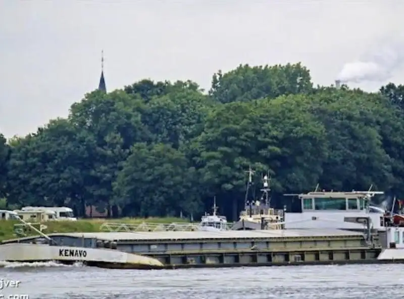 Bulkskib til salg